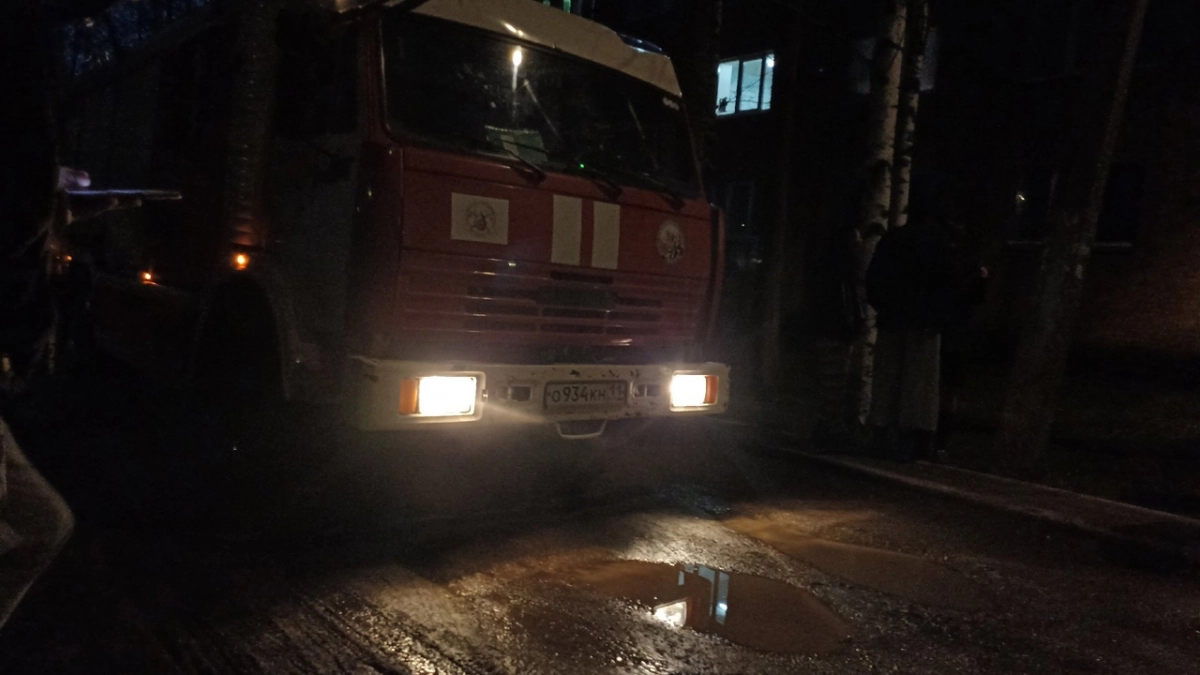 С начала года в Коми случилось более 200 пожаров