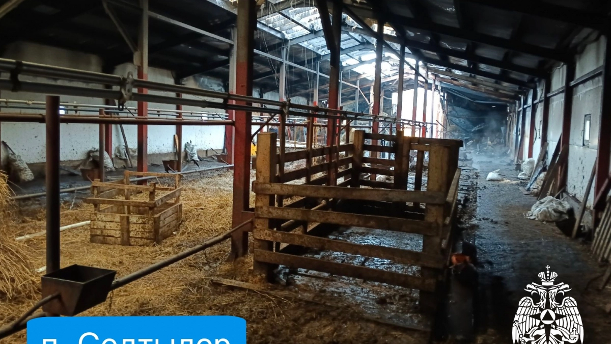 За сутки в Коми сгорели легковушка и ферма