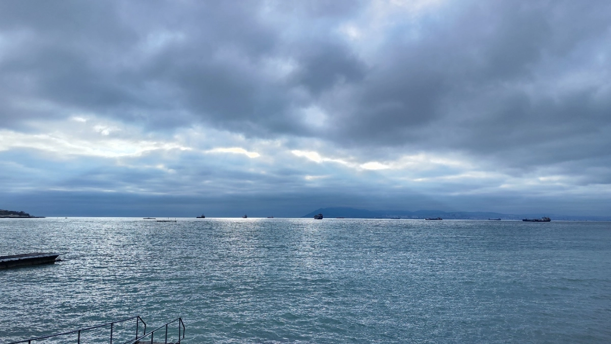 Мутное море с опасными тварями: туристы поделились честным отзывом о популярном в России курорте