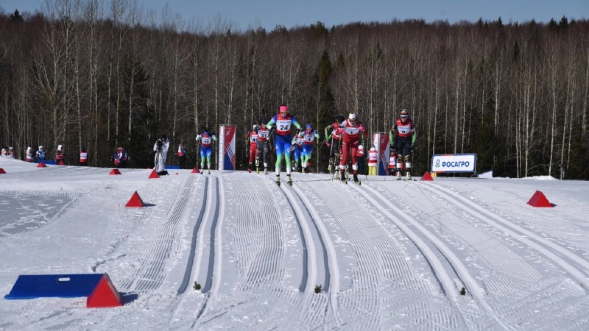 Лыжные гонки и плавание стали самыми массовыми видами спорта среди молодежи в Коми