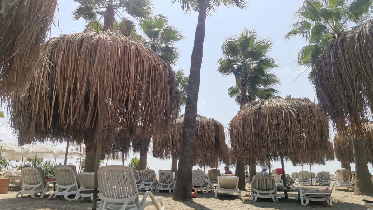 Сплошные стройки и платное всё вокруг: турист из России поделилась отзывом о «райском» курорте