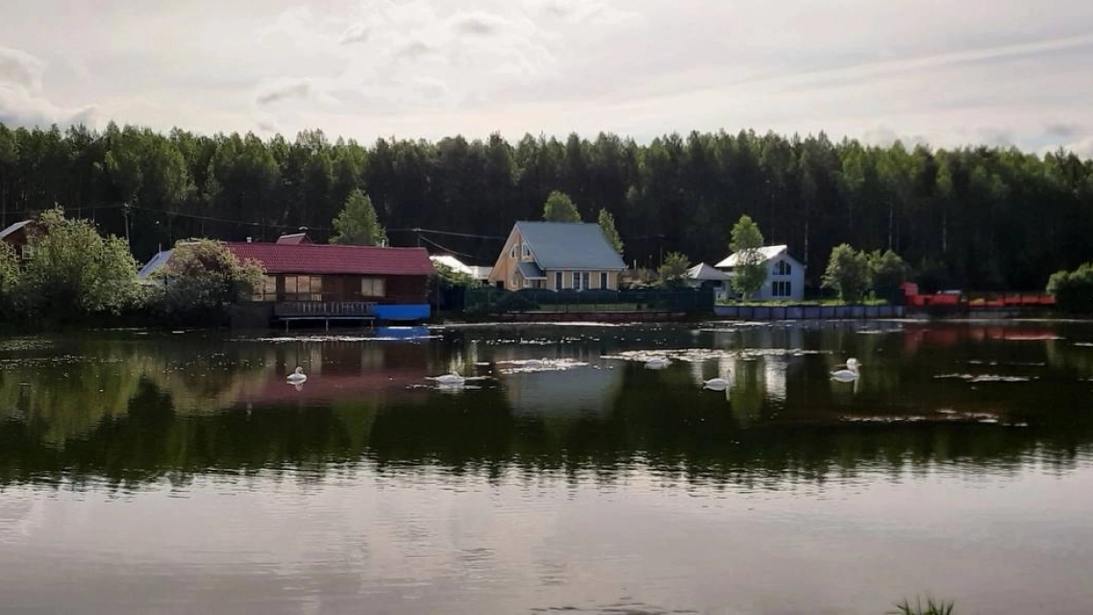 Пожила полгода в частном доме, теперь хочу обратно в квартиру – и вот почему