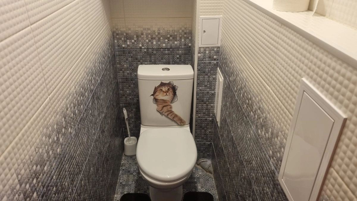 Почему нельзя держать открытой крышку унитаза: запомните раз и навсегда