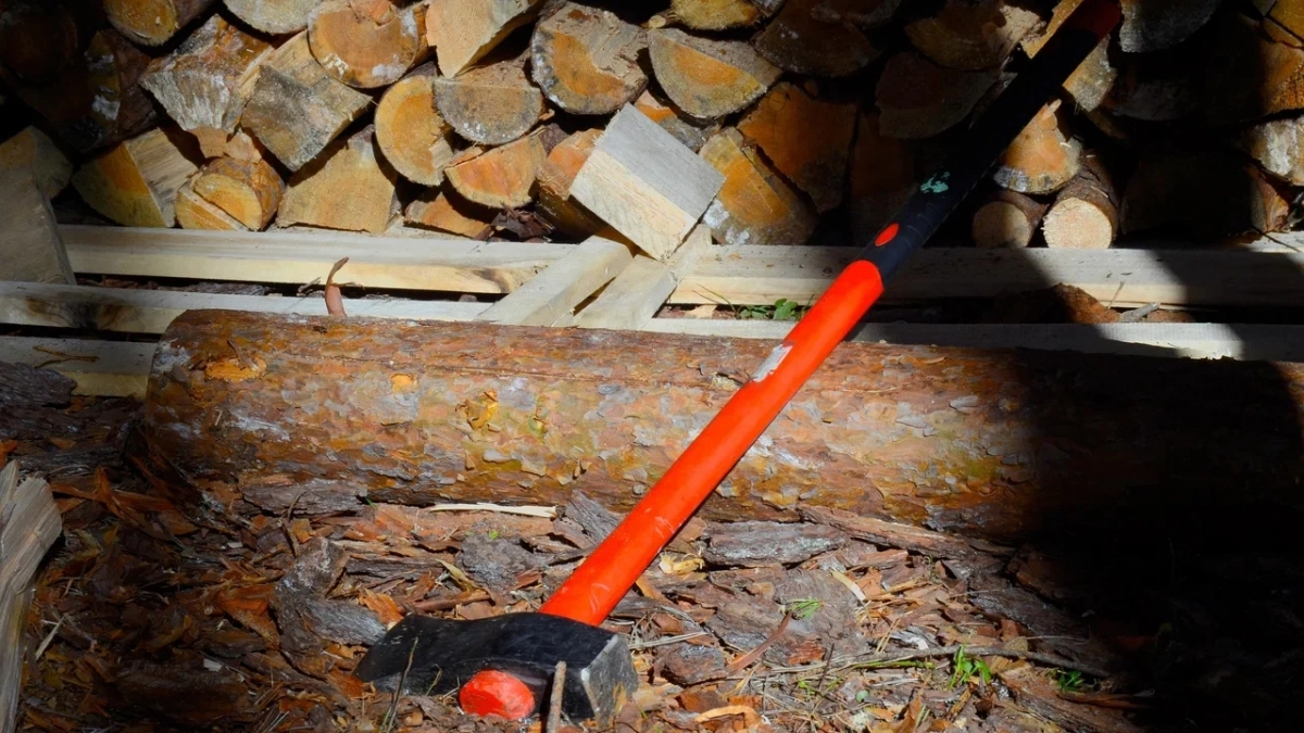 Житель Коми задержан по подозрению в убийстве односельчанина топором на почве ревности