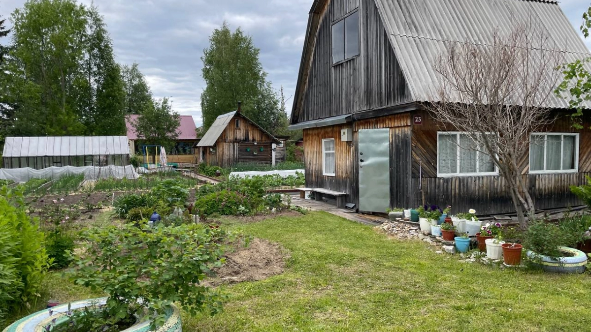 Добавляю 3 ложки в компост — и перегниют даже палки и кости: экспресс метод от агрономов