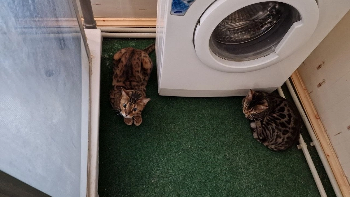 Почему нельзя стирать бельё при 40 градусах и ниже: совет прачки с огромным опытом — запомните раз и навсегда