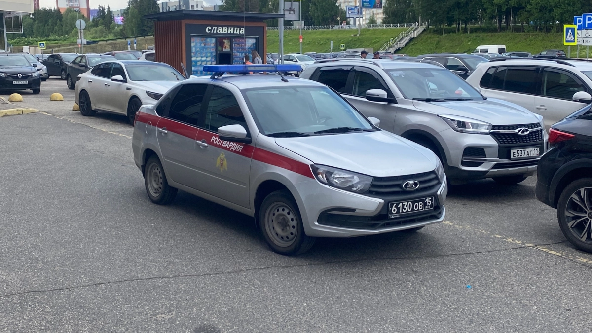 В столице Коми задержан посетитель с “необычной корзиной” товаров