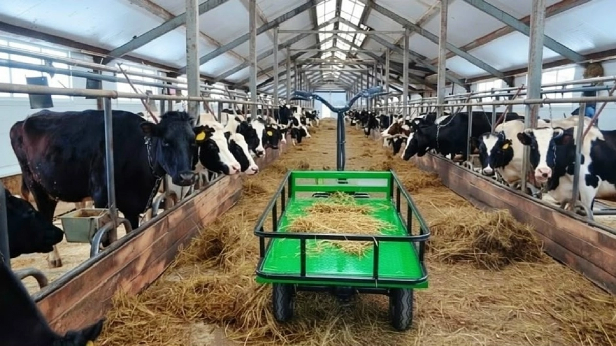 В Коми животноводческие комплексы готовятся к технологическому прорыву