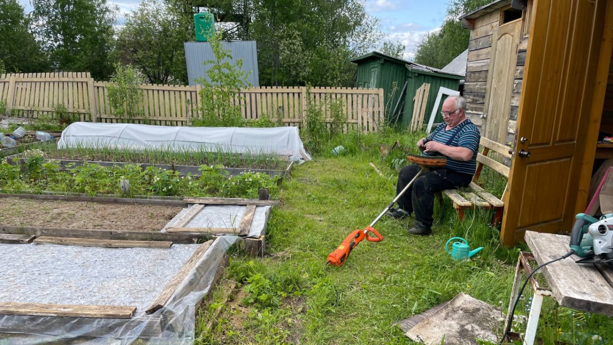 "Да брось ты эту газонокосилку" - есть более лёгкий способ: почему в Англии перестали косить газоны