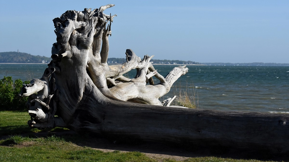 Город, в котором есть памятник рыбе: "цементная столица" России - где находится, что посмотреть