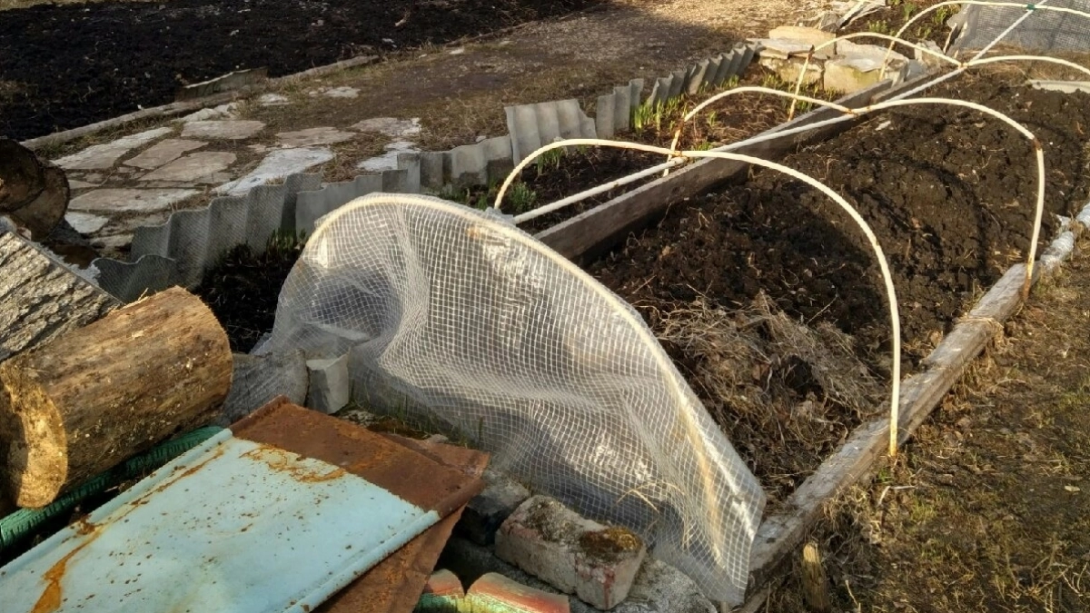 Вот что обязательно нужно сделать в апреле, чтобы не остаться без урожая: советы агронома