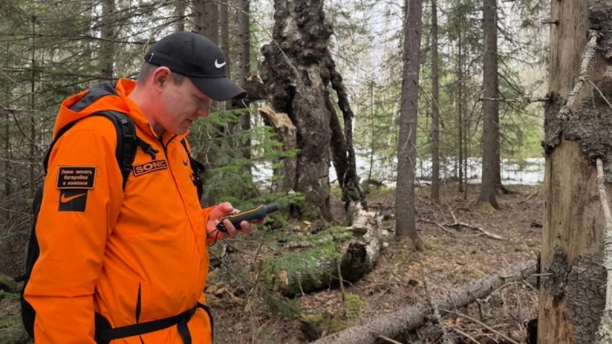 В марте волонтеры "ЛизаАлерт" нашли живыми семерых жителей Коми