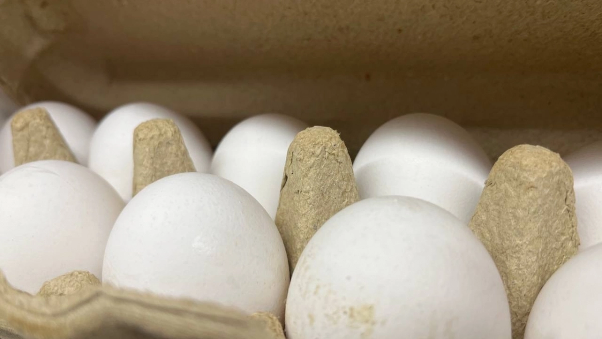 ФАС проверяет обоснованность цен на куриные яйца и молоко в федеральных торговых сетях в Коми