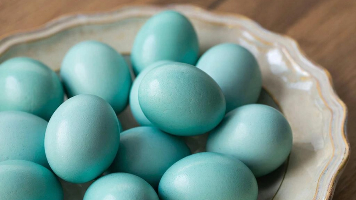 Скорлупки в стиле Тиффани: теперь яйца на Пасху крашу только так - глаз не оторвать и выглядит дорого 