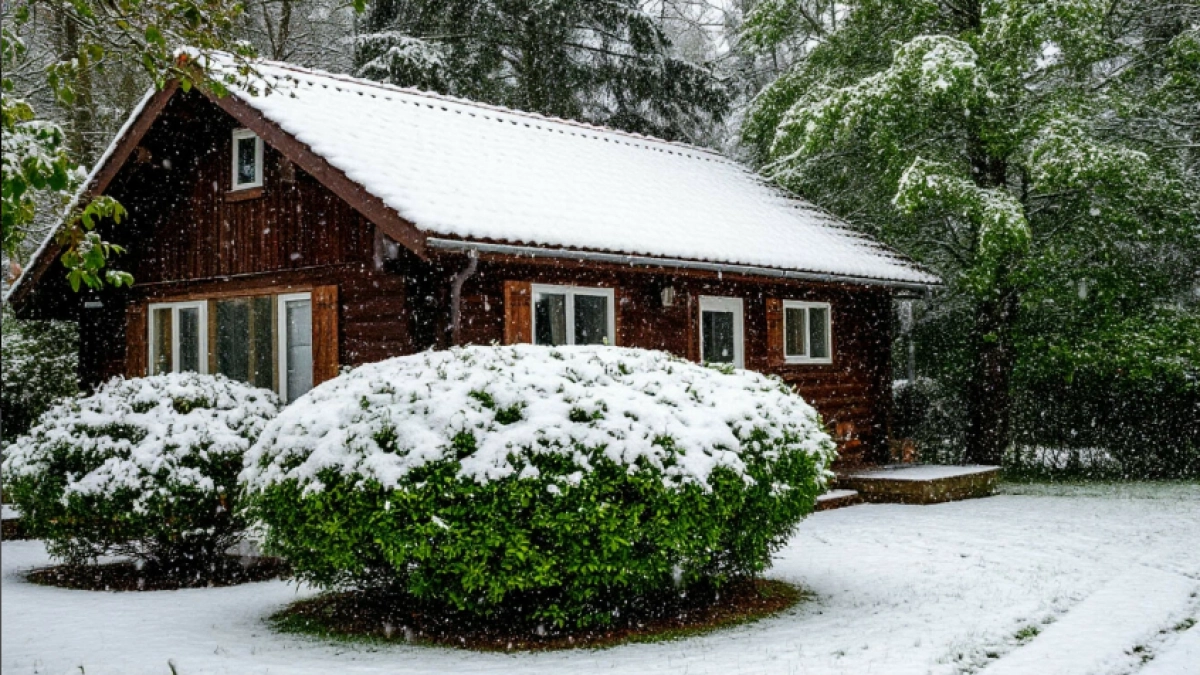 Доставайте пуховики: в Россию снова придут морозы, шторма и гололед – обновленный прогноз