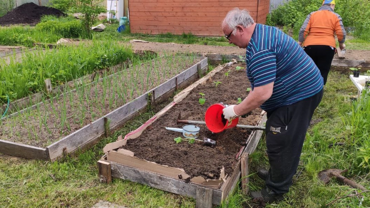 Посадил эти растения в саду и слизни пропали с участка — теперь и близко не подходят