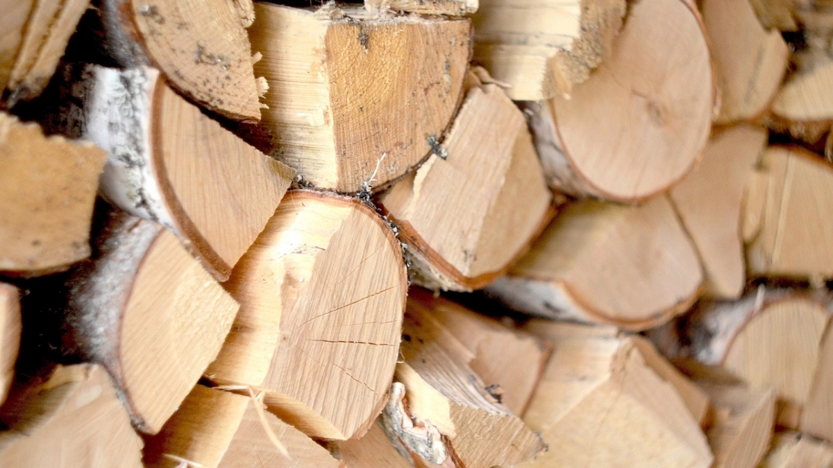 Россельхознадзор Коми досмотрел более 325 тысяч кубометров леса на экспорт за три месяца 2026 года