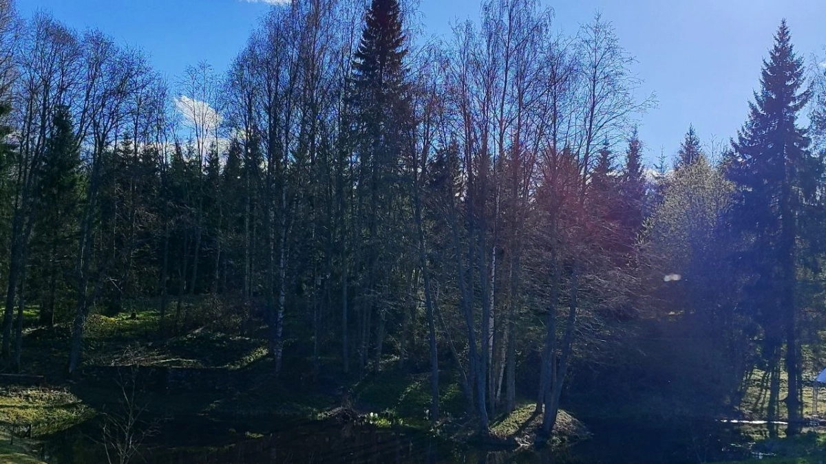 Погода снова удивит: Вильфанд обновил прогноз на апрель