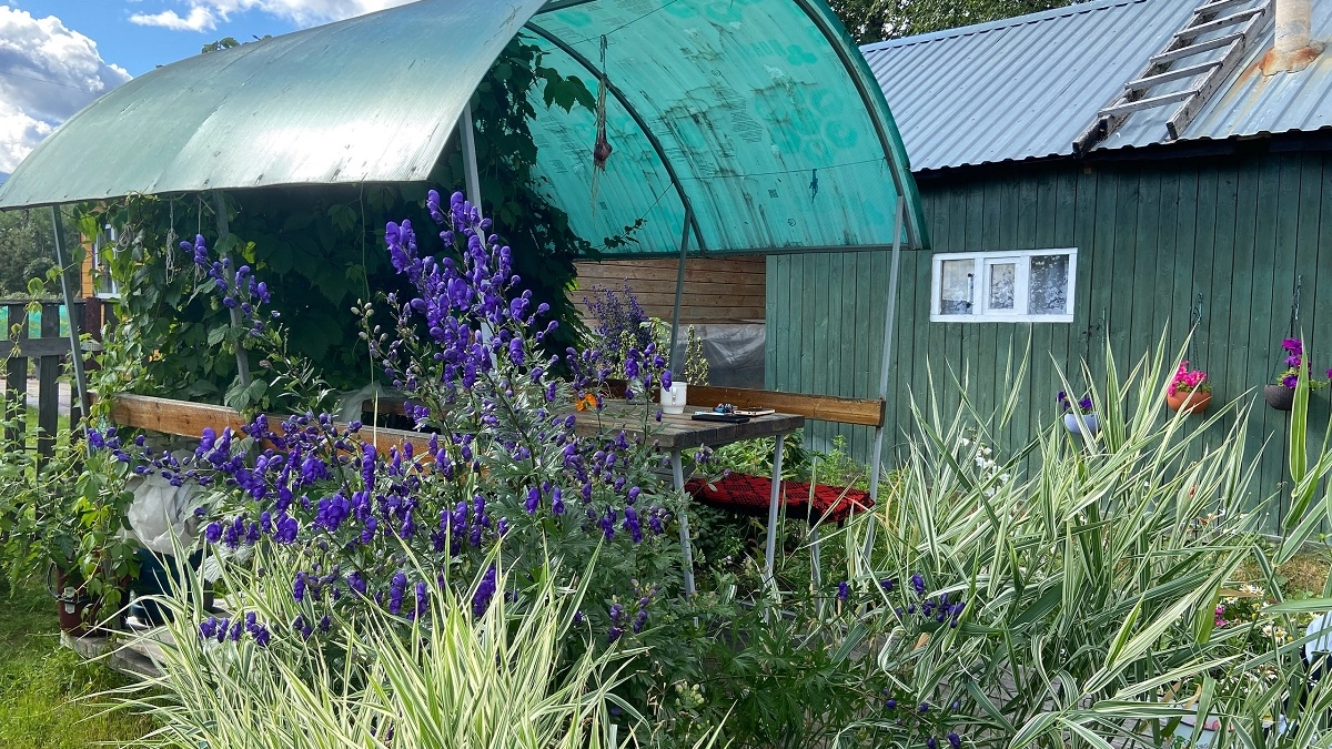 Апрельский посев: что ещё не поздно посадить на рассаду и получить шикарный урожай до осени