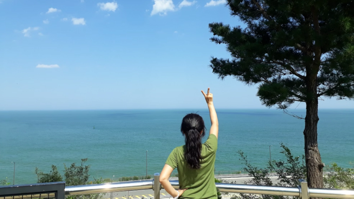 Не Сочи и не Крым: на Черном море появляется новый элитный курорт