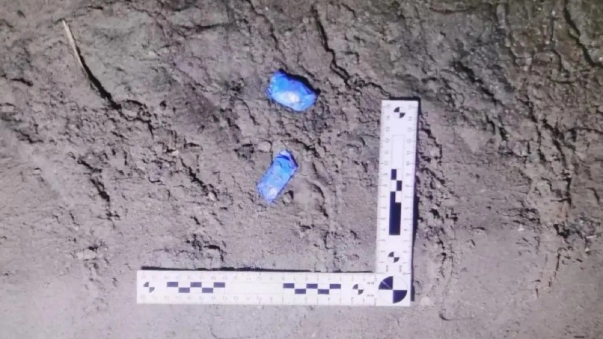 Полицейские в Коми задержали двоих местных жителей с партией наркотиков