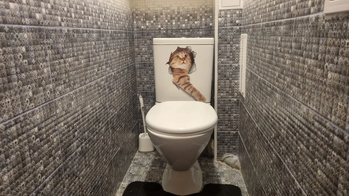 Почему нельзя держать открытой крышку унитаза. Запомните раз и навсегда