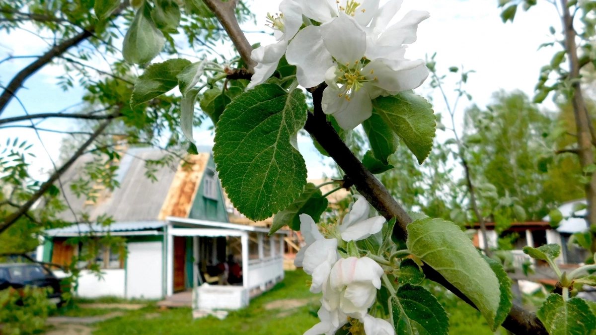 Лето придет на месяц раньше: Вильфанд предупредил о большом погодном сюрпризе в апреле