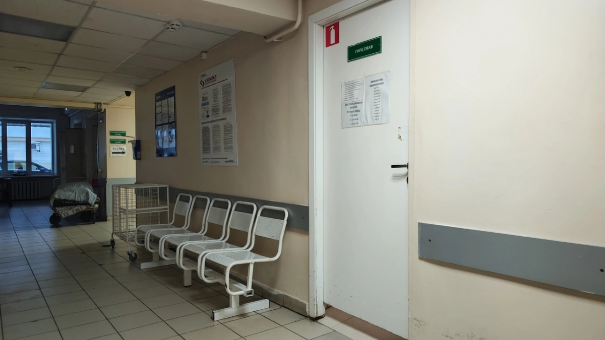 В столице Коми скоро ожидают новую партию вакцины от клещевого энцефалита