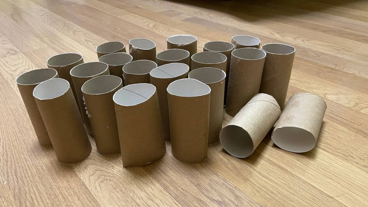 Втулки от туалетной бумаги берегу как зеницу ока: 7 полезных идей для дома и сада