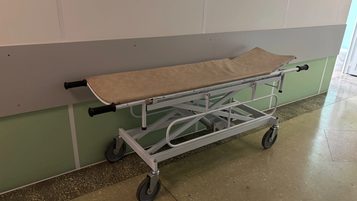 В Коми 73 жителя обратились за медицинской помощью из-за поллиноза