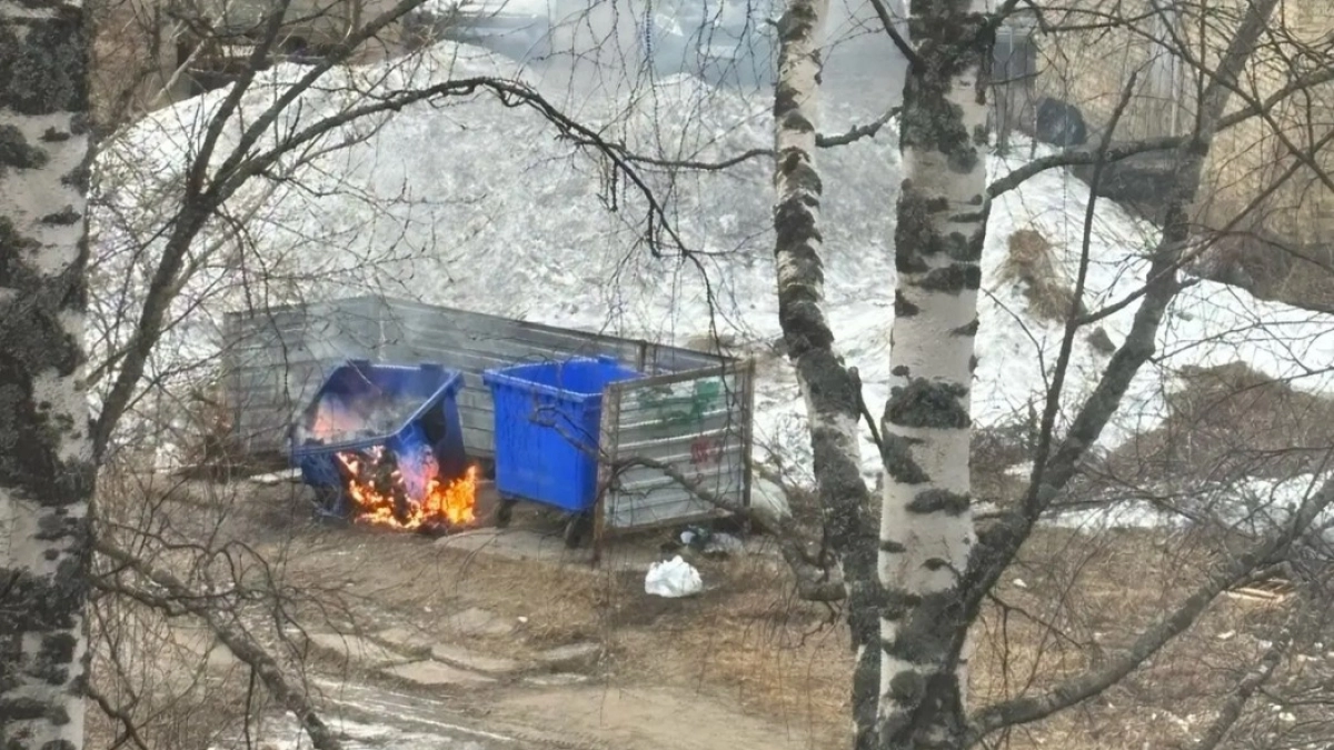 В Ухте увеличилось число пожаров на мусорных площадках из-за растительных отходов