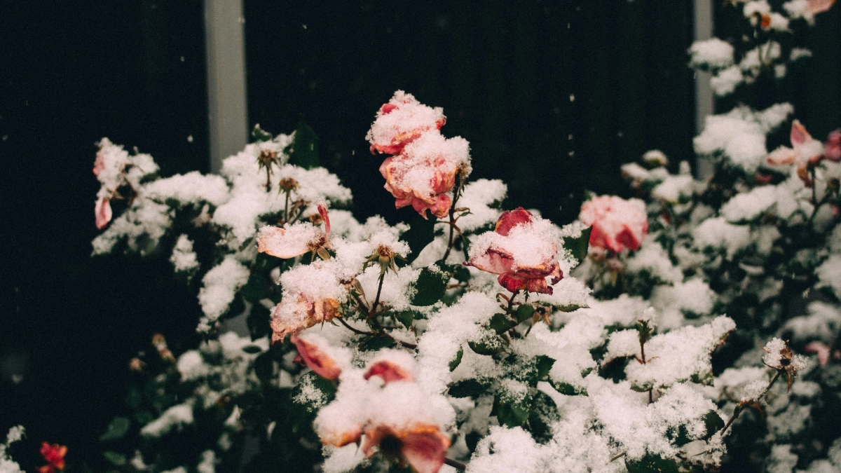 Синоптики в ступоре: весна-2026 полностью обновляет сценарий — май устроит настоящие качели