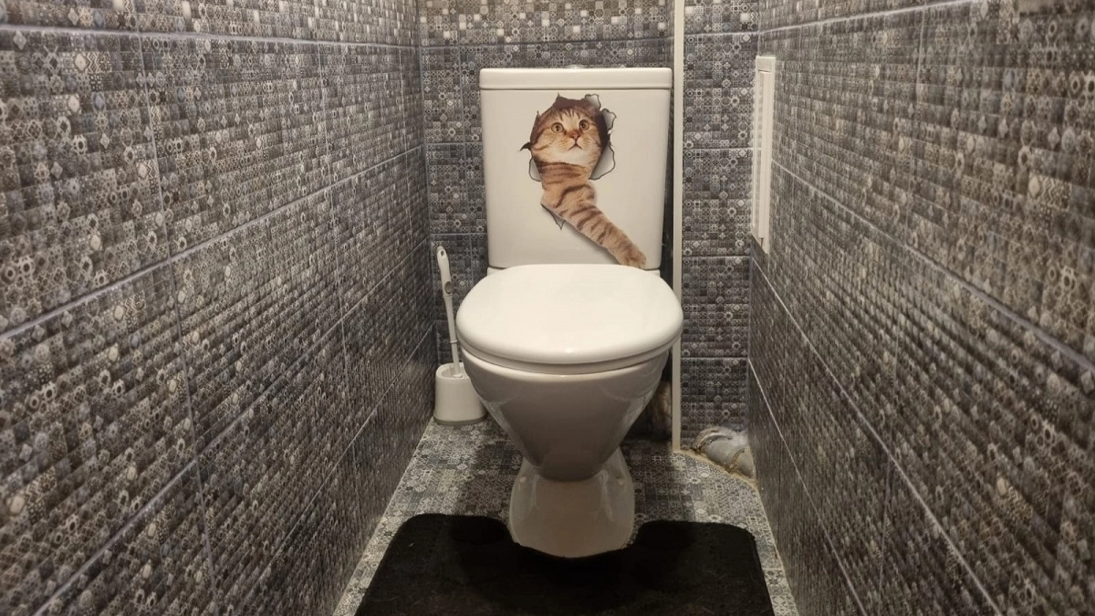 Секрет чистого унитаза без щётки: просто сделайте это перед сном - на утро сантехника как из магазина