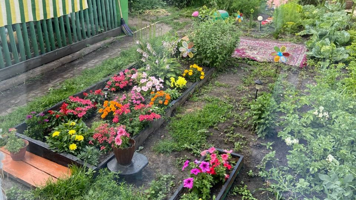 Фантастическая четверка: доступные и эффектные цветущие многолетники, без которых не обойтись в мокром тенистом саду 