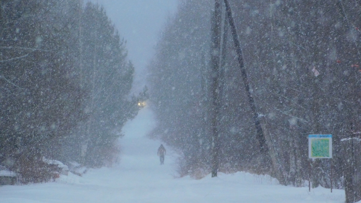 В двух районах Коми ожидается сильный снег с ухудшением видимости 17 апреля