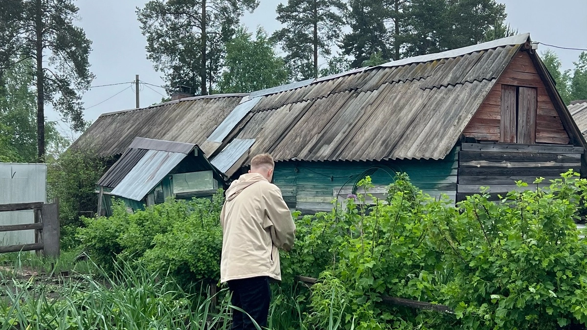 Клещи боятся этих растений‑репеллентов как огня: сажаю на даче для защиты участка  - про вредителей забыл