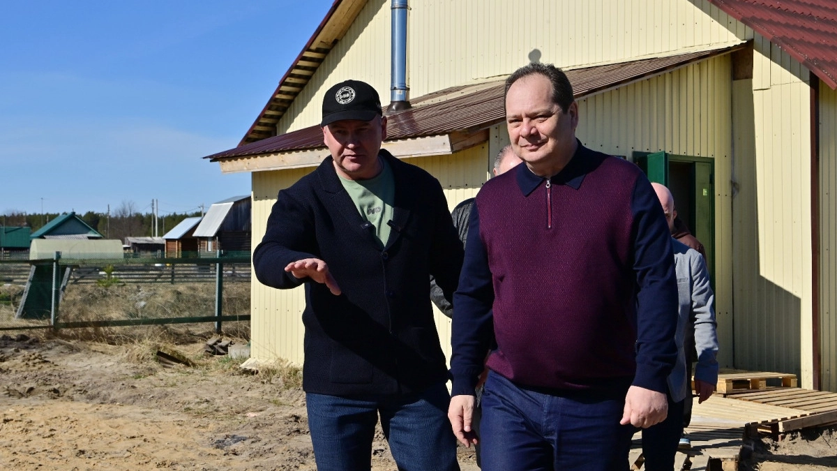 Как семья из Коми построила бизнес на переработке дикоросов