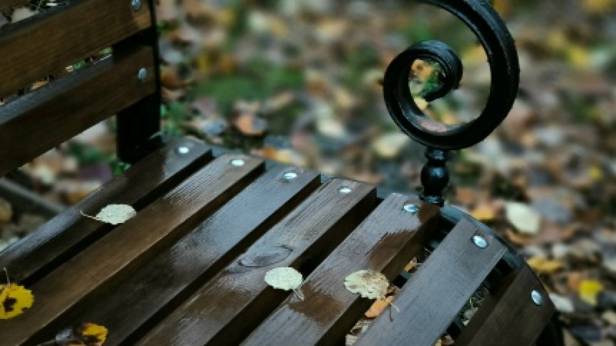 Ухта стала одним из первых заказчиков нового производства малых архитектурных форм в Коми