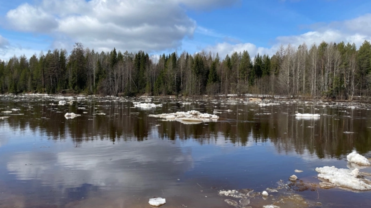 В Коми раньше срока начали устанавливать понтонные переправы