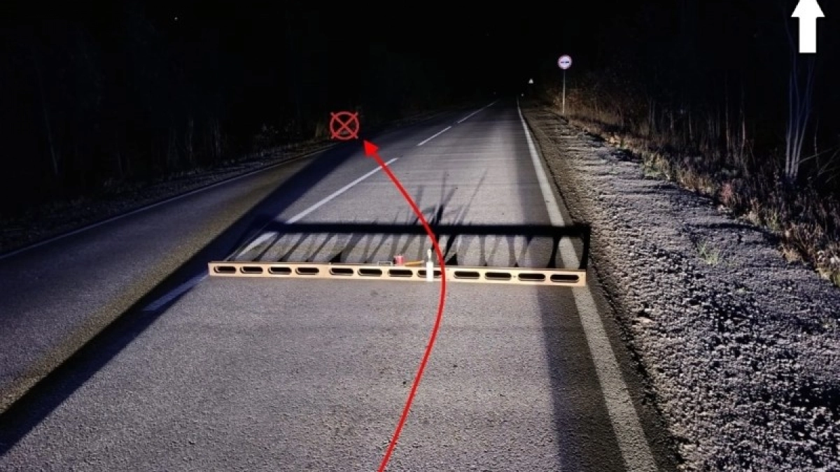 Цена фатального побега: житель Коми получил срок в колонии строгого режима за брошенных в кювете пассажирок