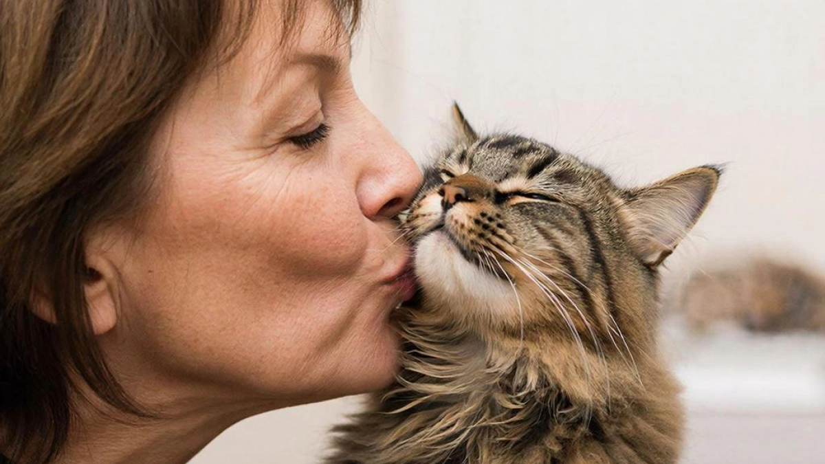 Почему нельзя целовать кошек в нос — не всё так безобидно, как может казаться