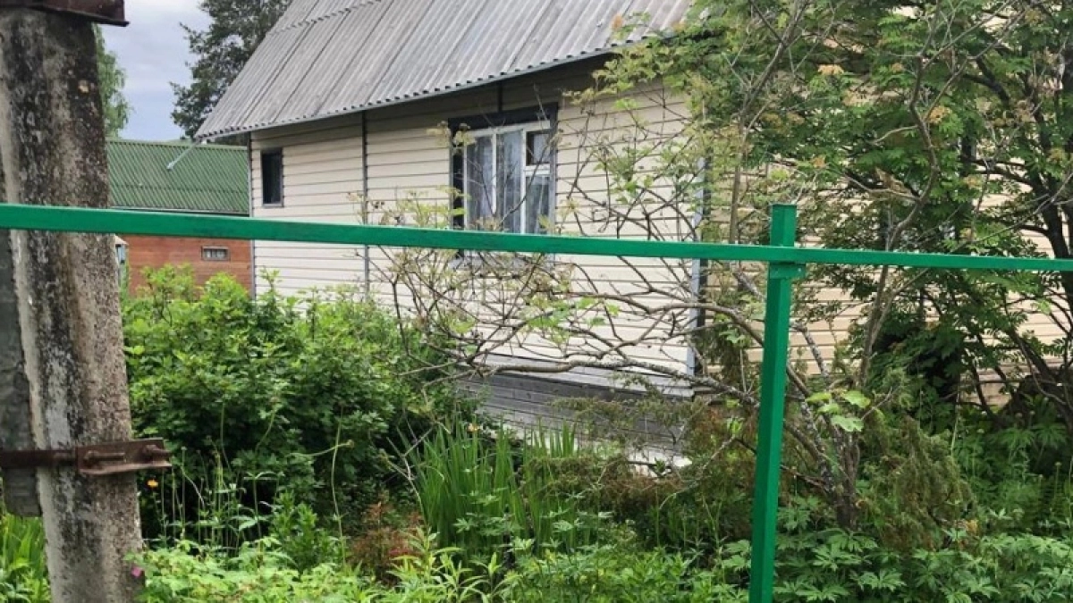 Не сажайте это рядом со смородиной: 5 плохих растений-соседей, которые снижают урожай