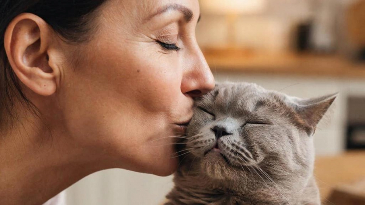 Не целуйте кошку: почему кошки воспринимают наш поцелуй как оскорбление