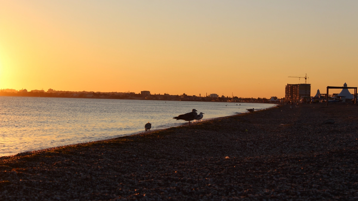 В Сочи больше ни ногой: 6 бюджетных курортов Черного моря - отдых дешевле, а народу меньше