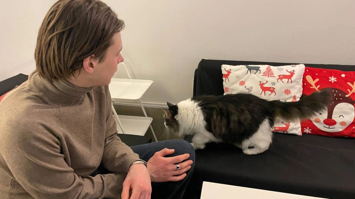 Почему кошка приходит к тем, кто её не любит: что не нравится ей в «добрых» людях