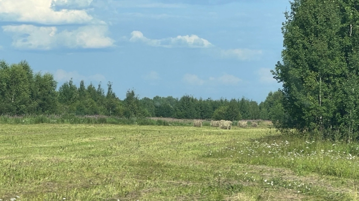 В Коми посевная начнется уже в первой половине мая