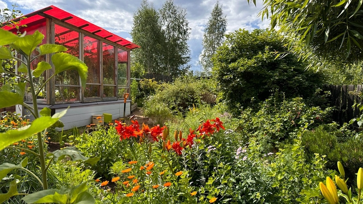 Как защитить молодые посадки от ветра в апреле: практические решения, которые реально работают