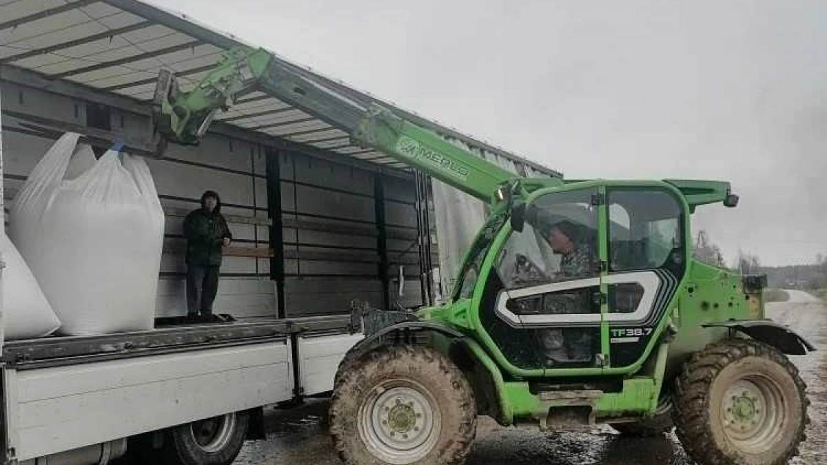 Как аграрии Коми готовятся к посевной 2026 года: закупка семян идет полным ходом