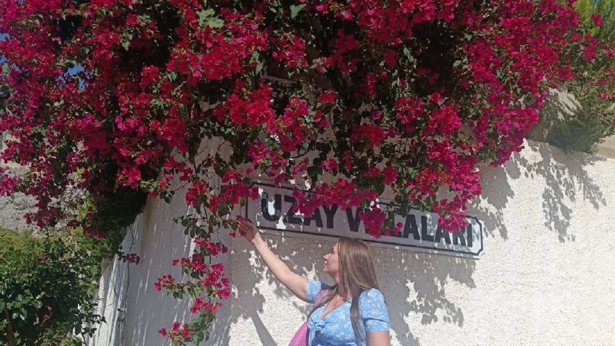 Цветы-мотыльки радуют с июля до заморозков: вьющиеся растения для декорций вертикальных поверхностей, беседок, балконов