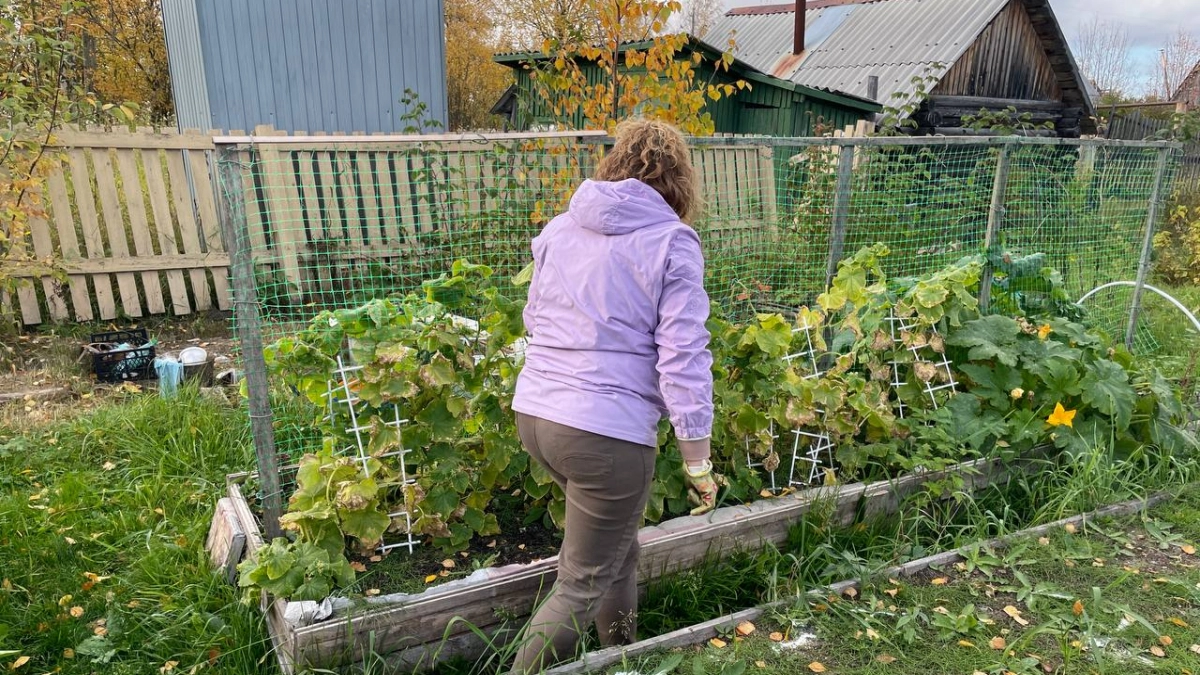 Слизни удирают как от огня: аптечная штука, которая изведет этих вредителей на долгие годы